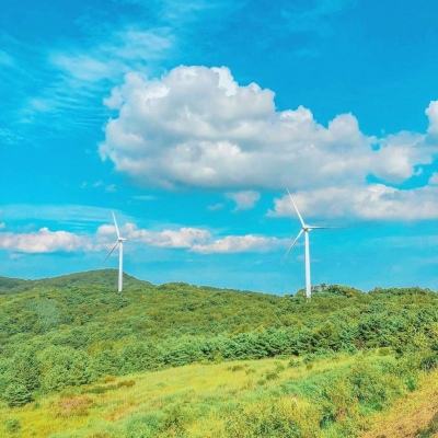 天天玩三国游戏下载